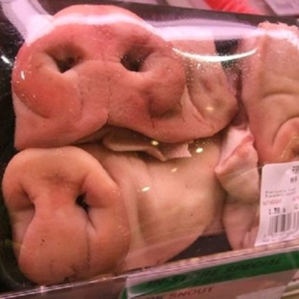 frozen pork suppliers, wholesale frozen pork suppliers, frozen pork snouts, frozen pork wholesale
