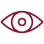 vision
